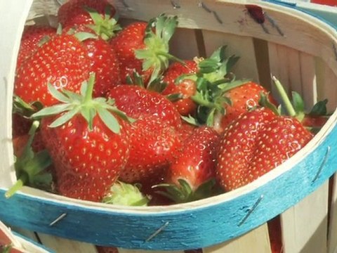 [Présidence] Le Président du Sénat reçoit les producteurs de fraises français