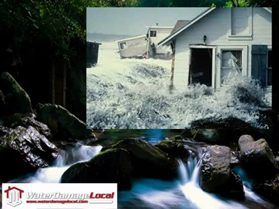Water Damage Company Bradenton