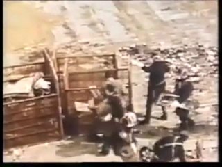 チェルノブイリ原発事故～その10年後 　癒されぬ傷跡　スイスTSI制作1998