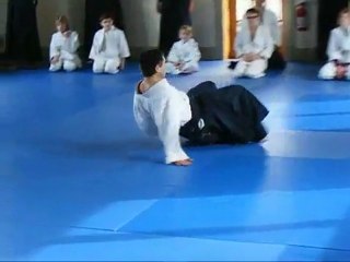 Aikido zoo-ukemi   állati gurulások - YouTube