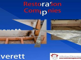 Everett Water Damage Control