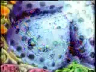 Evrim Neden Bilim Dışıdır-4