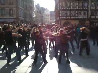 West Coast Connexion - Flashmob & Wobble devant la Cathédrale à Strasbourg