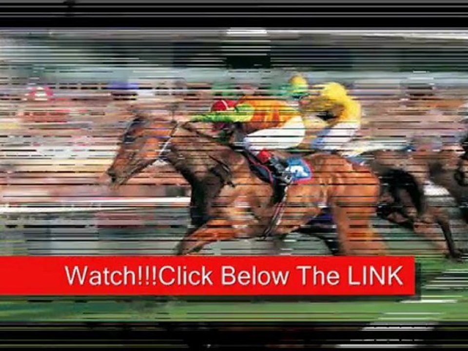 Races from the United States Horse Racing Live Stream