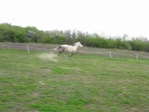 Mister saut en liberté 3 avril