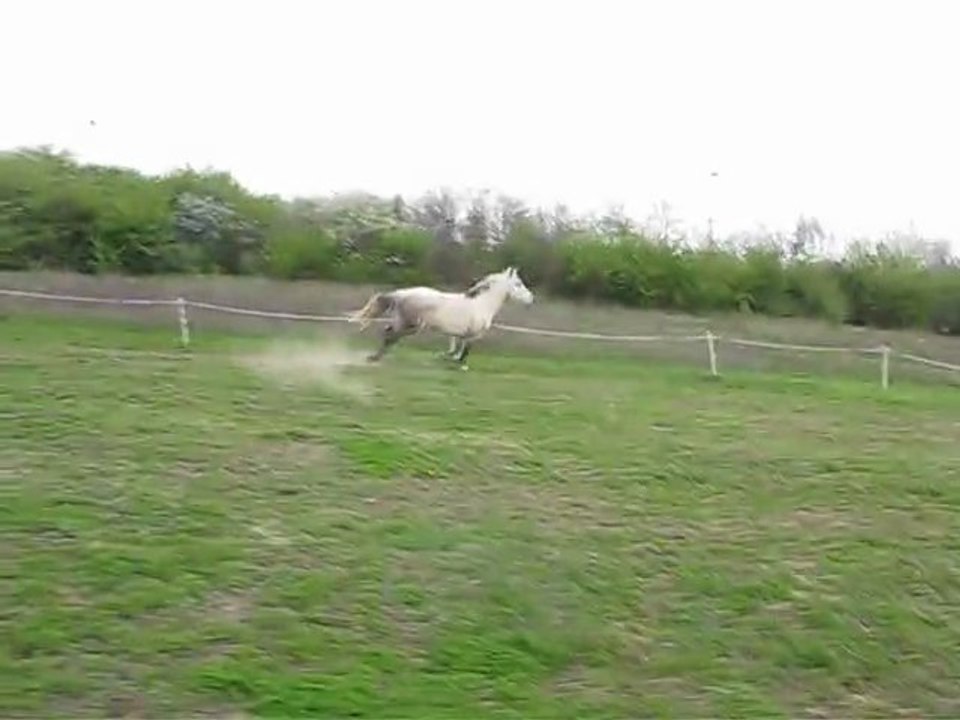 Mister saut en liberté 3 avril