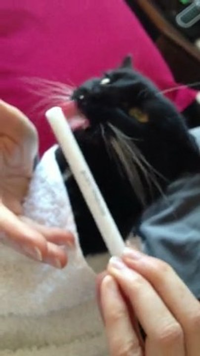 le médicament de Chaussette