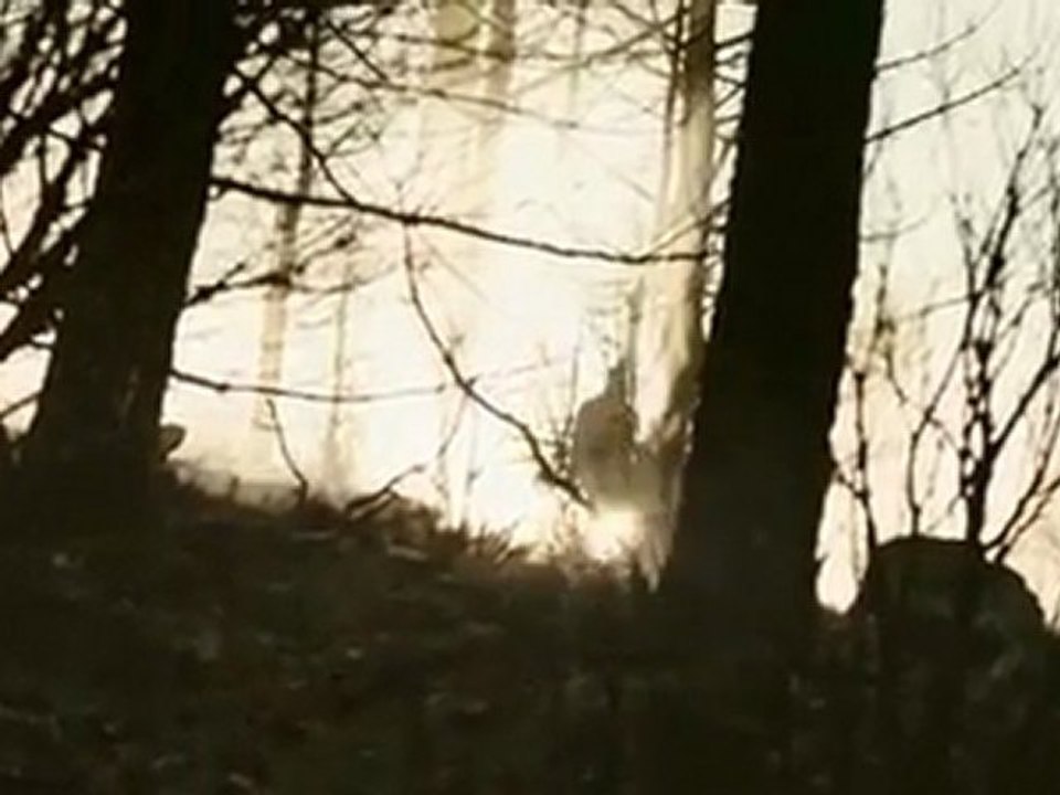 HELL _TRAILER_SCI-FI-LONDON_FILM_FESTIVAL_2012