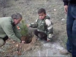 BUĞAY KÖYLÜLERİ AĞAÇ DİKİMİ 2 DEVAMI