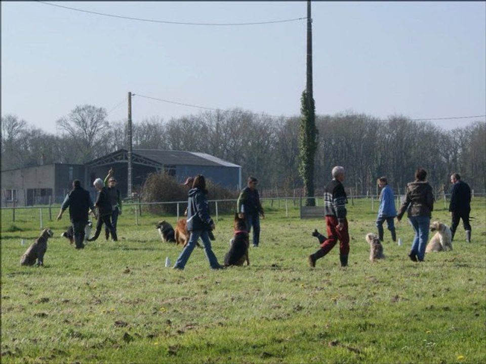 Cours d'éducation au club