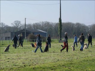Cours d'éducation au club
