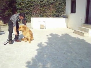 Eğitmen Barış KILIÇ Temel İtaat Eğitim Eğzersizleri