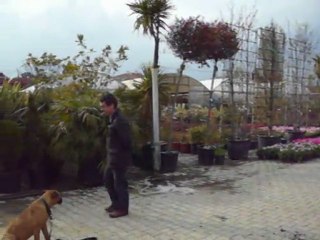 Barış KILIÇ Temel İtaat Eğzersizleri Kavacık