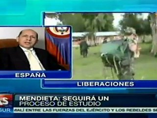 Análisis sobre qué les espera a los liberados por las FARC