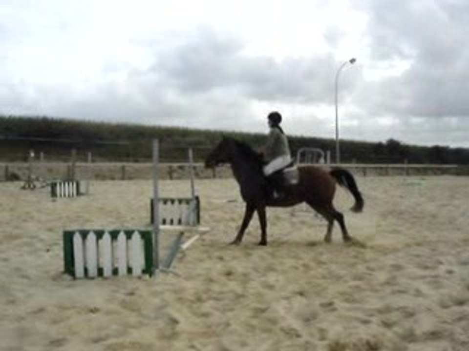 Kalinette d'amour et Erell, Ecuries de Lannilis