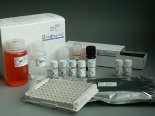 Forschungsunternehmen Reutlingen Mediagnost ...