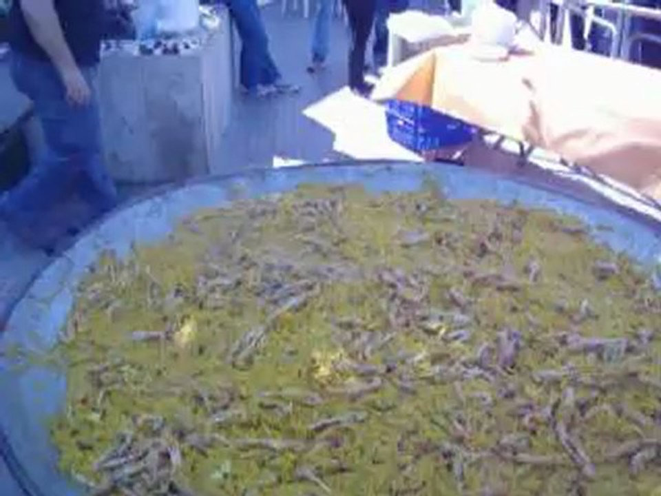 PAELLAS GIGANTES LA BAMBINA