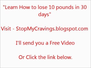 Adorable  puppy barks at mirror