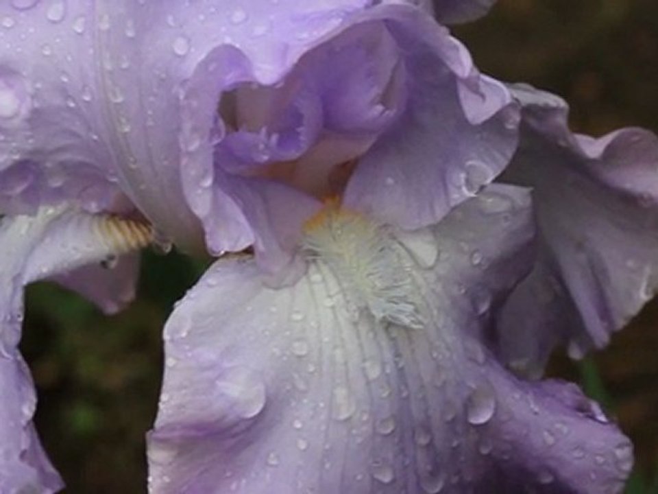 Perceptions and Expectations