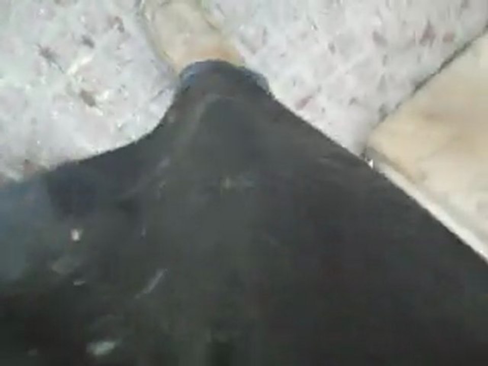 PAELLAS GIGANTES LA BAMBINA