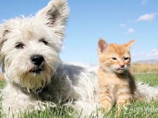 Wexford on the Green Apartments in Beavercreek, OH - ...