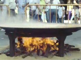 PAELLAS GIGANTES LA BAMBINA
