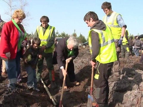 Mamie chaussette , la grand-mère qui replantait des arbres à 800 km de chez elle