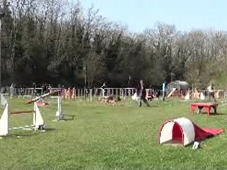 CCDPL 31-03-2012 SERI GPF