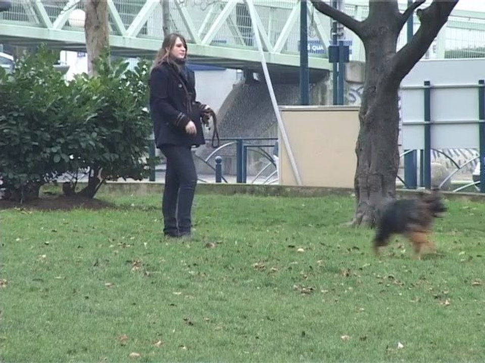 Exercices 2011-2012, par collège Joliot-Curie (4°-3°), Pantin