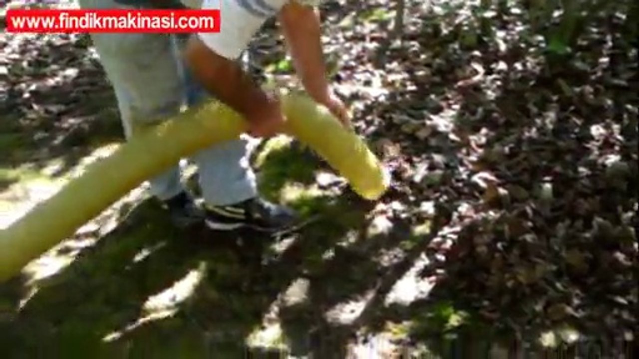 Fındık toplama makinesi