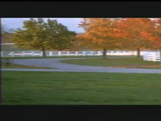 SIMPATICO - Bande-annonce VO