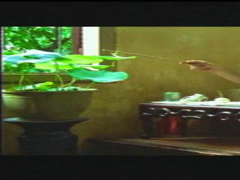 A LA VERTICALE DE L'ETE - Bande-annonce VF