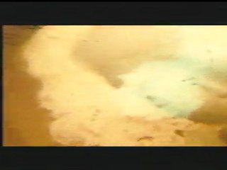 PROMENONS NOUS DANS LES BOIS - Bande-annonce VF