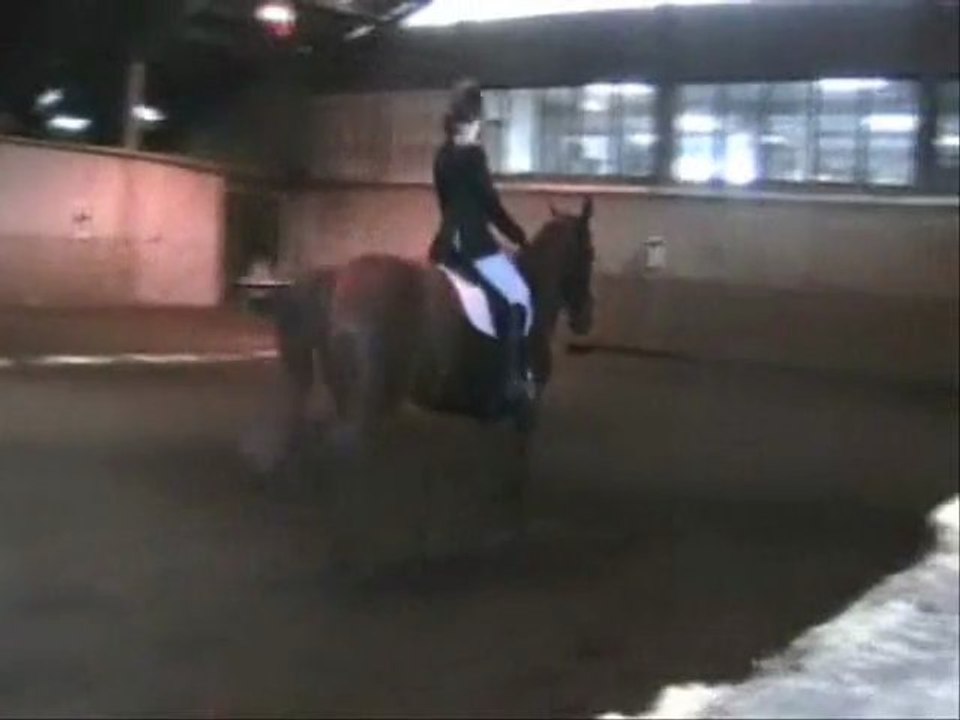 2012-04-01 dressage montfermeil Marie PetitAmour C2