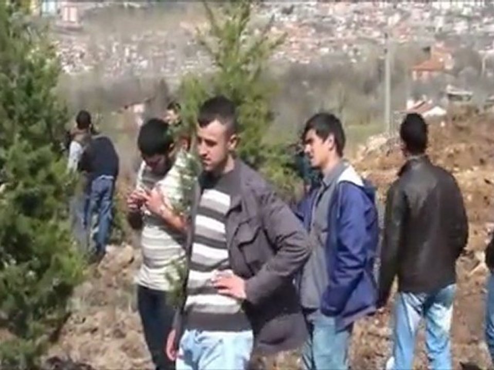 Meslek yüksek okulu fidan dikti