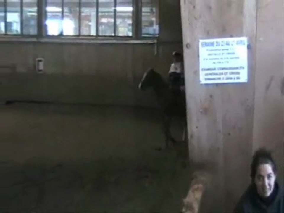 2012-04-01 dressage montfermeil Valérie QatFun C3