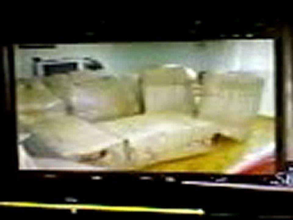 ERYAMAN EVDEN EVE NAKLİYAT, 0312 226 23 78 ERYAMANDA