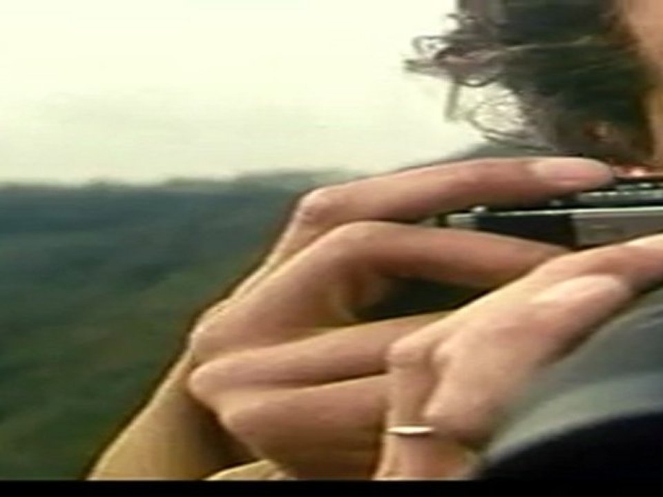 BIRDWATCHER - Bande-annonce VF