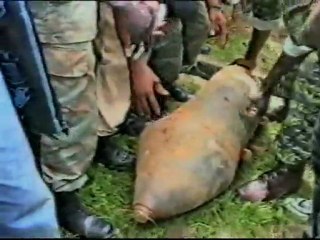 NOUVEL ORDRE MONDIAL - Bande-annonce VO