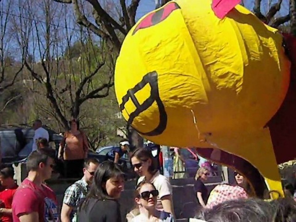 LE VIGAN a bien fêté son Carnaval 2012