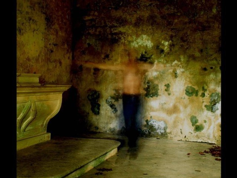 DE QUEL PAPILLON SUIS-JE LE REVE ? (2012)