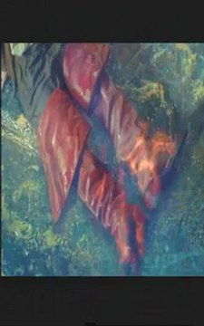 LE PETIT POUCET - Bande-annonce VF