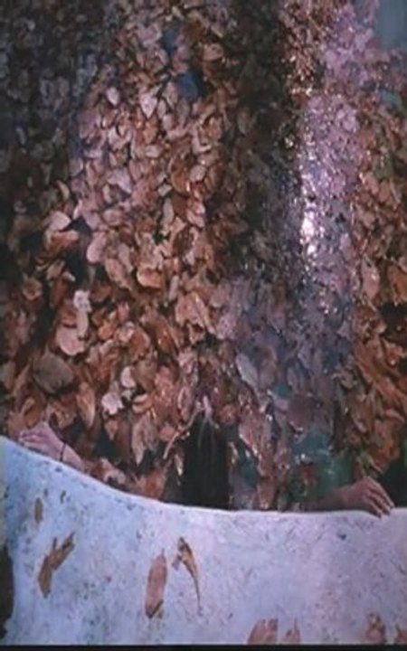 Y TU MAMA TAMBIEN - Bande-annonce VO