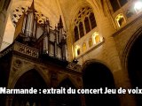 Marmande: Jeu de voix en l'église