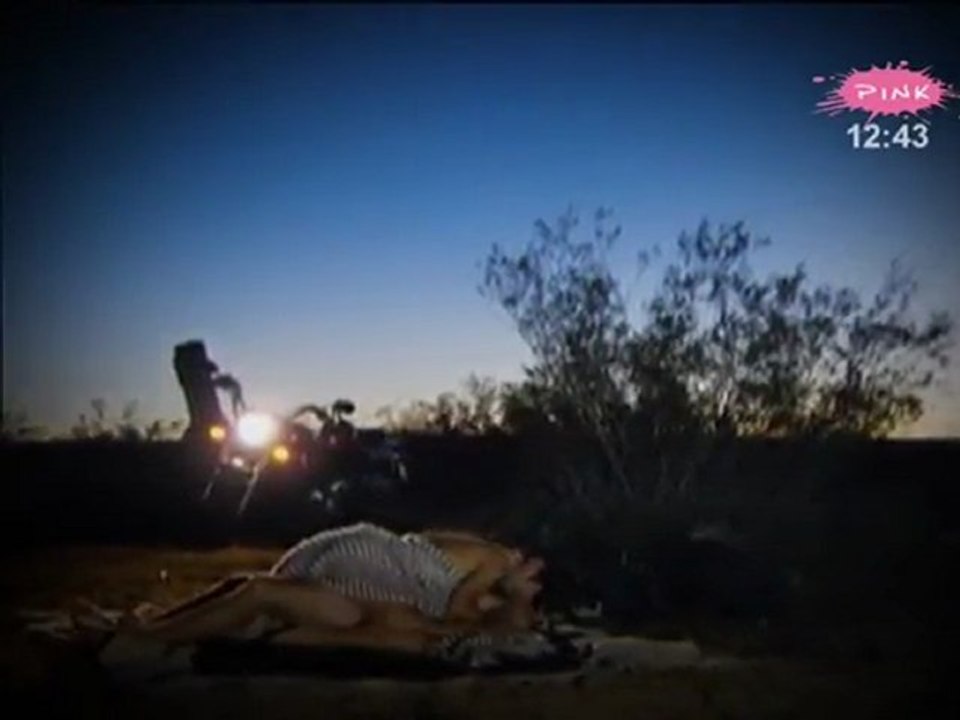 Moje srce kuca za Lolu - Promo (TV Pink)