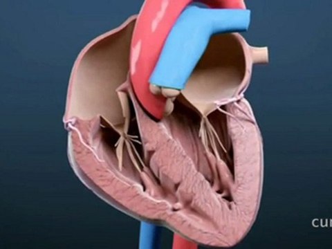 Crioablación: tratar con frío y de manera más rápida y sencilla las arritmias cardiacas
