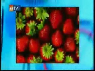 5. Bölüm "GDO ve Ulusal Biyogüvenlik sorunun ayrıntıları