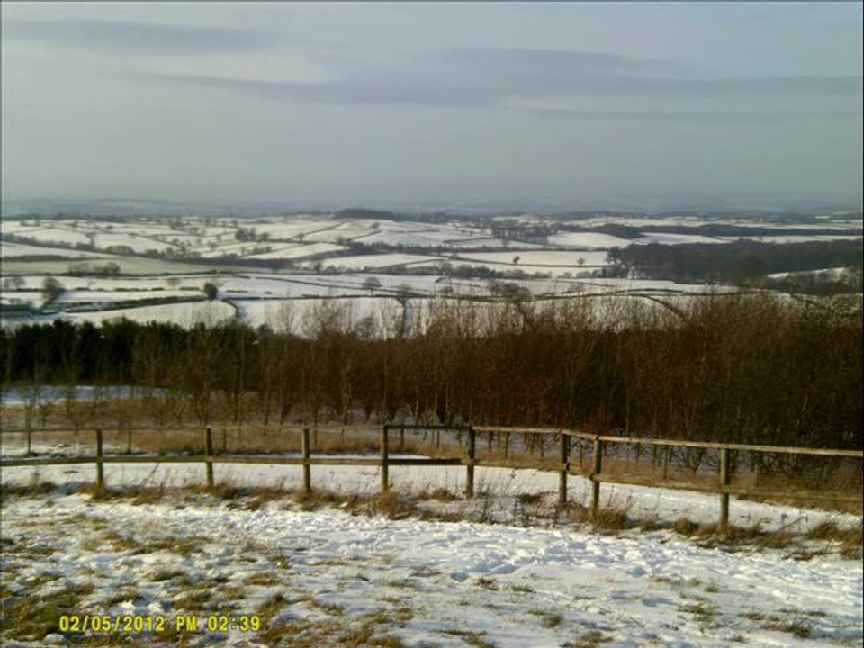 Shades of Winter on the Phoenix Greenways