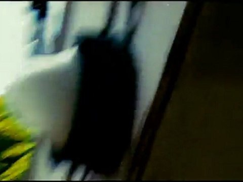 MA CAMERA ET MOI - Teaser2 VF