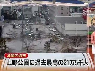 放送事故　花見なのに津波